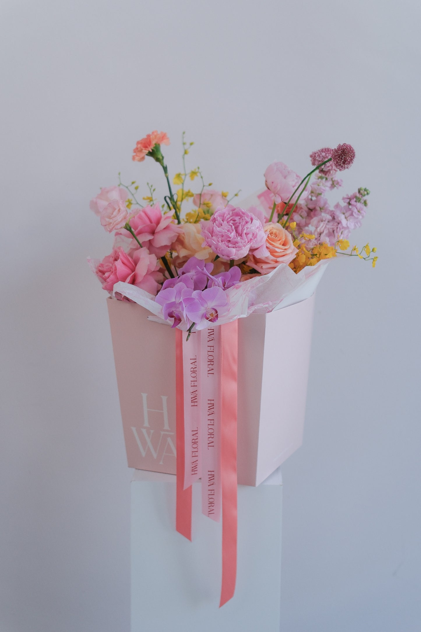 Omakase In Her Light