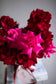 Rose En Masse in Lover