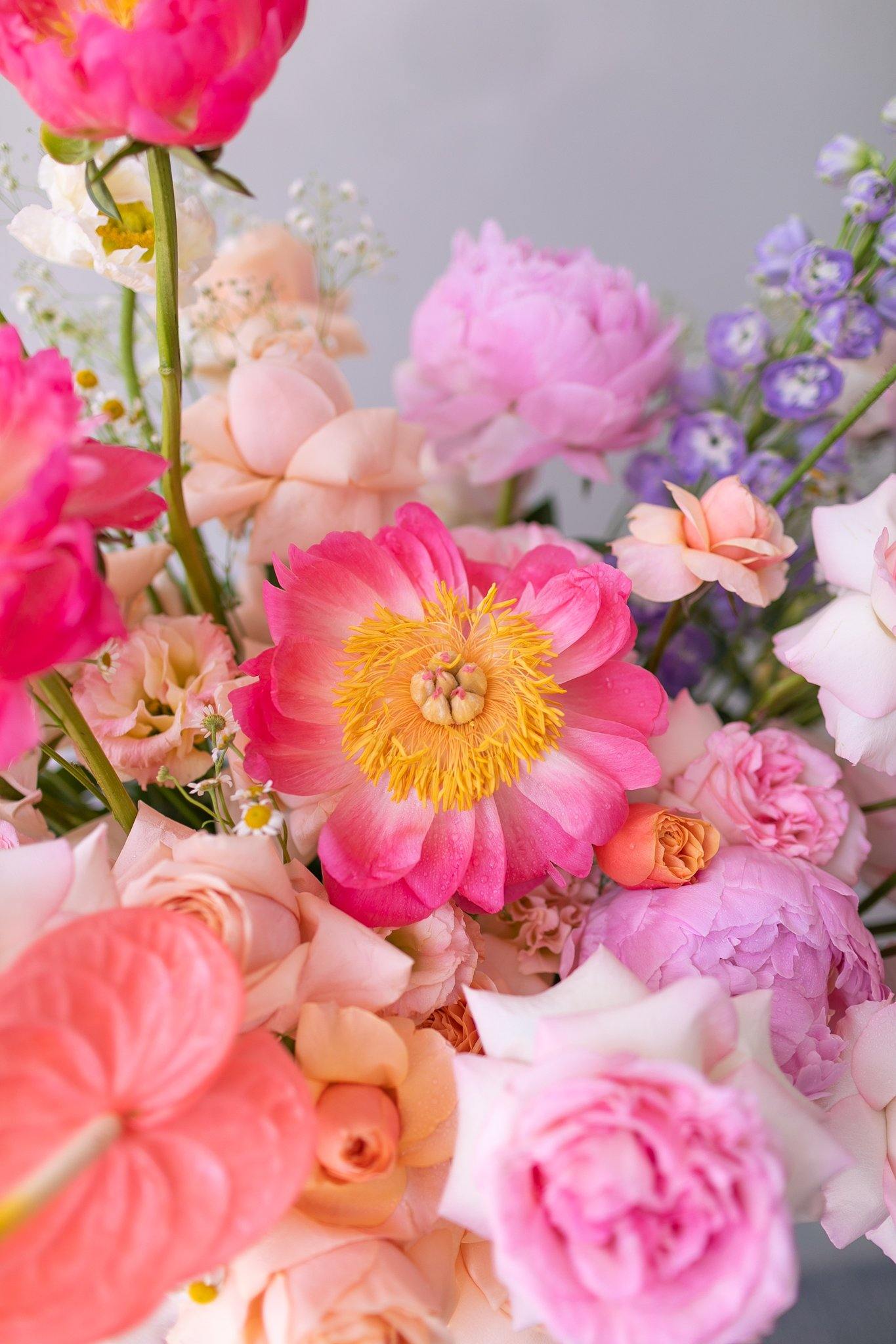 Alice in Wonderland - Hwa Floral