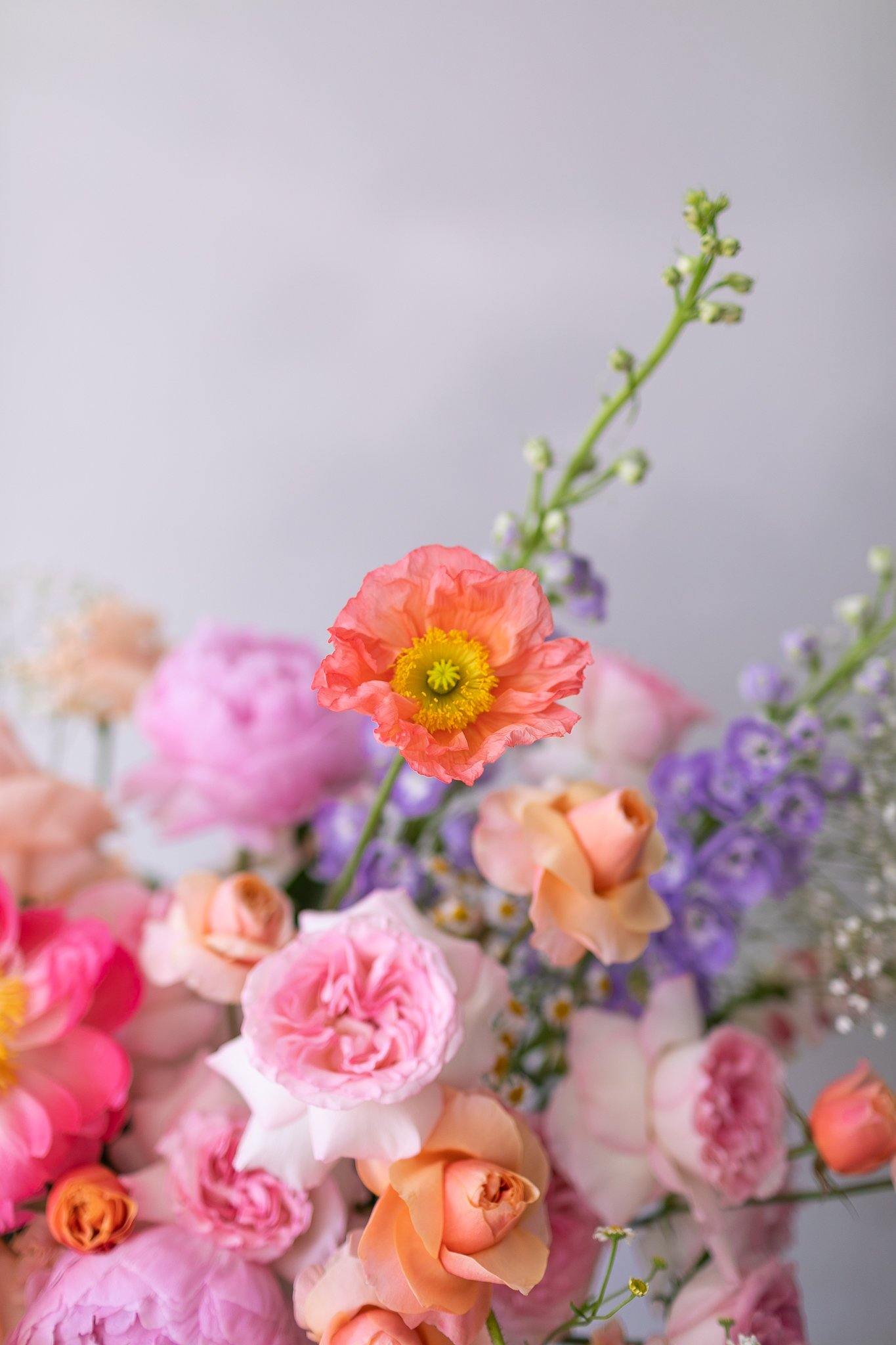 Alice in Wonderland - Hwa Floral