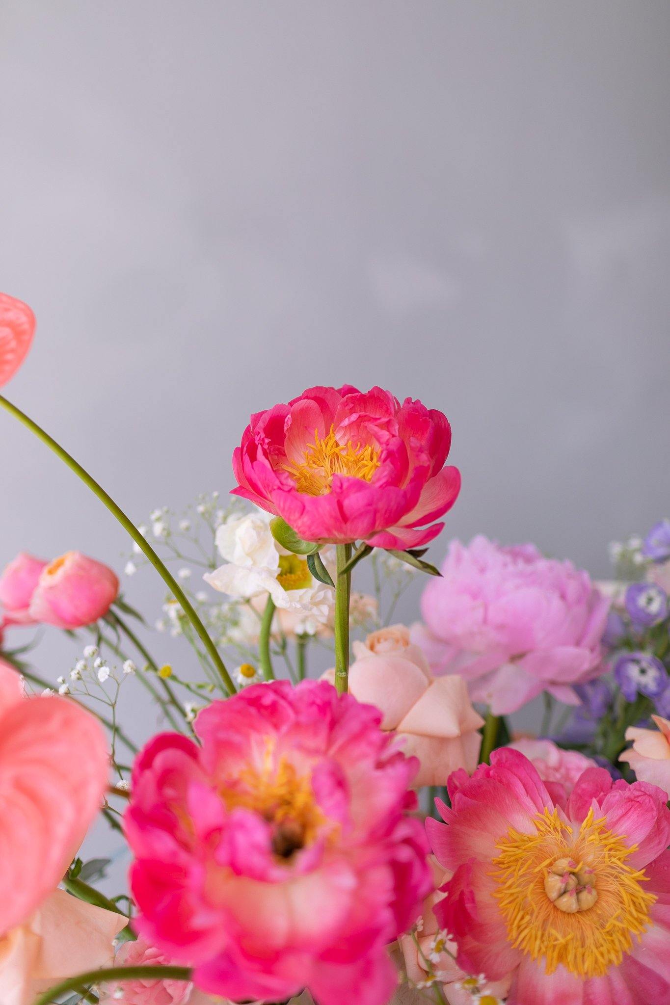 Alice in Wonderland - Hwa Floral