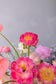 Alice in Wonderland - Hwa Floral