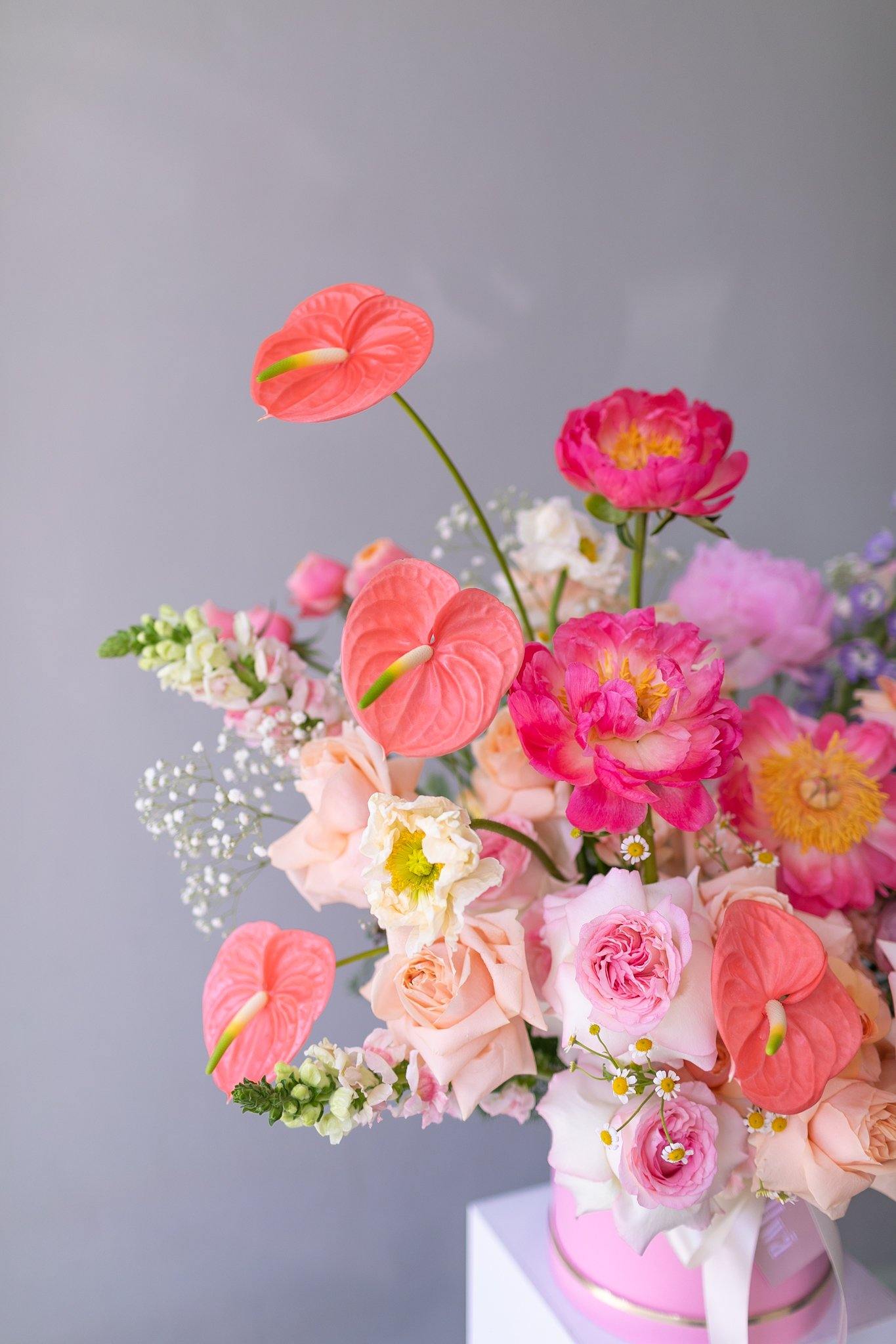 Alice in Wonderland - Hwa Floral