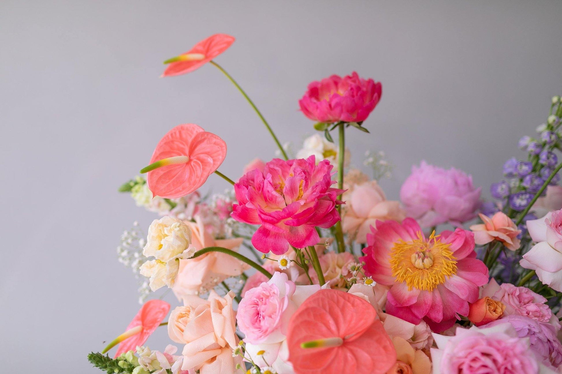 Alice in Wonderland - Hwa Floral
