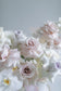 Rose En Masse x Phalaenopsis