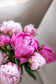 Peonies à la Vase