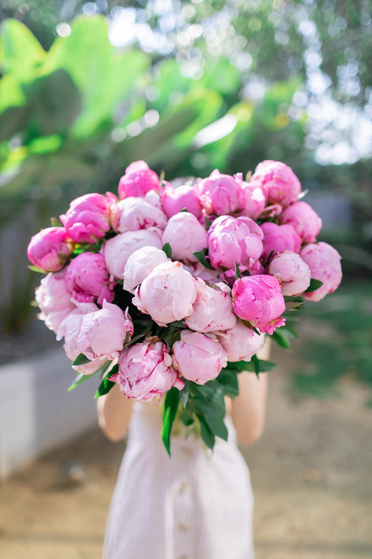 Peonies à la Vase