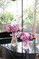 Peonies à la Vase