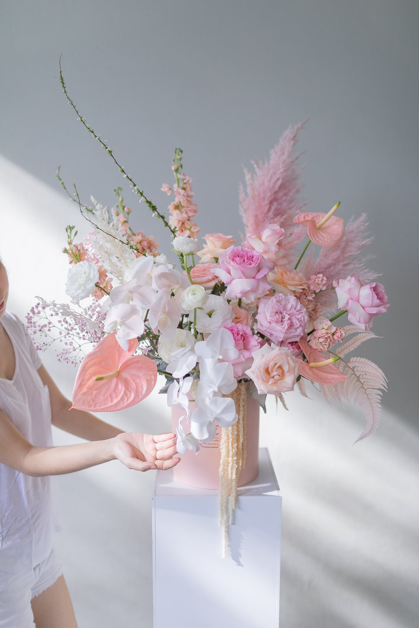 anthurium angel wings Angels Wings – Hwa Floral