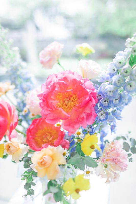 Summer Peony Fields