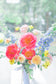 Summer Peony Fields