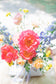 Summer Peony Fields